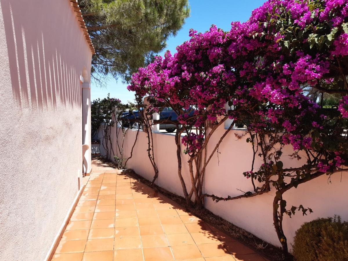 Mare & Mirice - Case Appartamenti Vacanza Aglientu Exterior foto