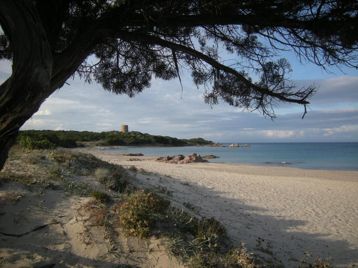 Mare & Mirice - Case Appartamenti Vacanza Aglientu Exterior foto